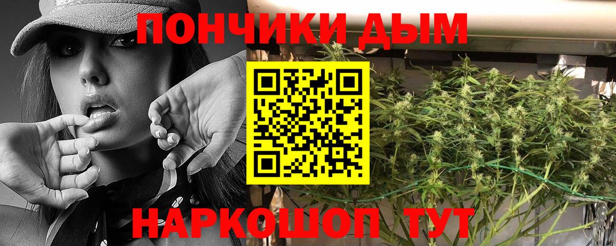 Бошки Шишки марихуана  Конопля план  МАРИХУАНА White Widow  Шишки марихуана индика  Петрозаводск  Вход с VPN 